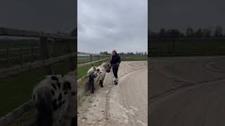 Lesdag 7 & 8 Module Rijden