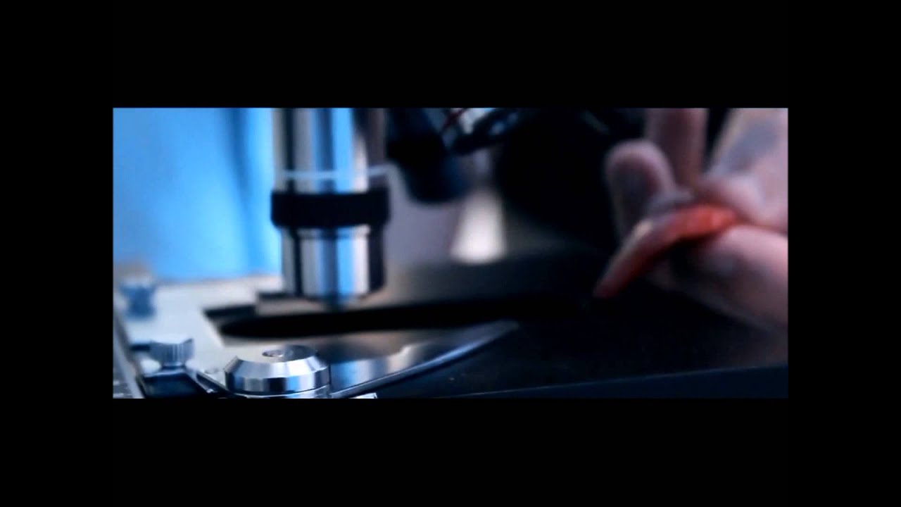 Camp Hemlock: Trailer