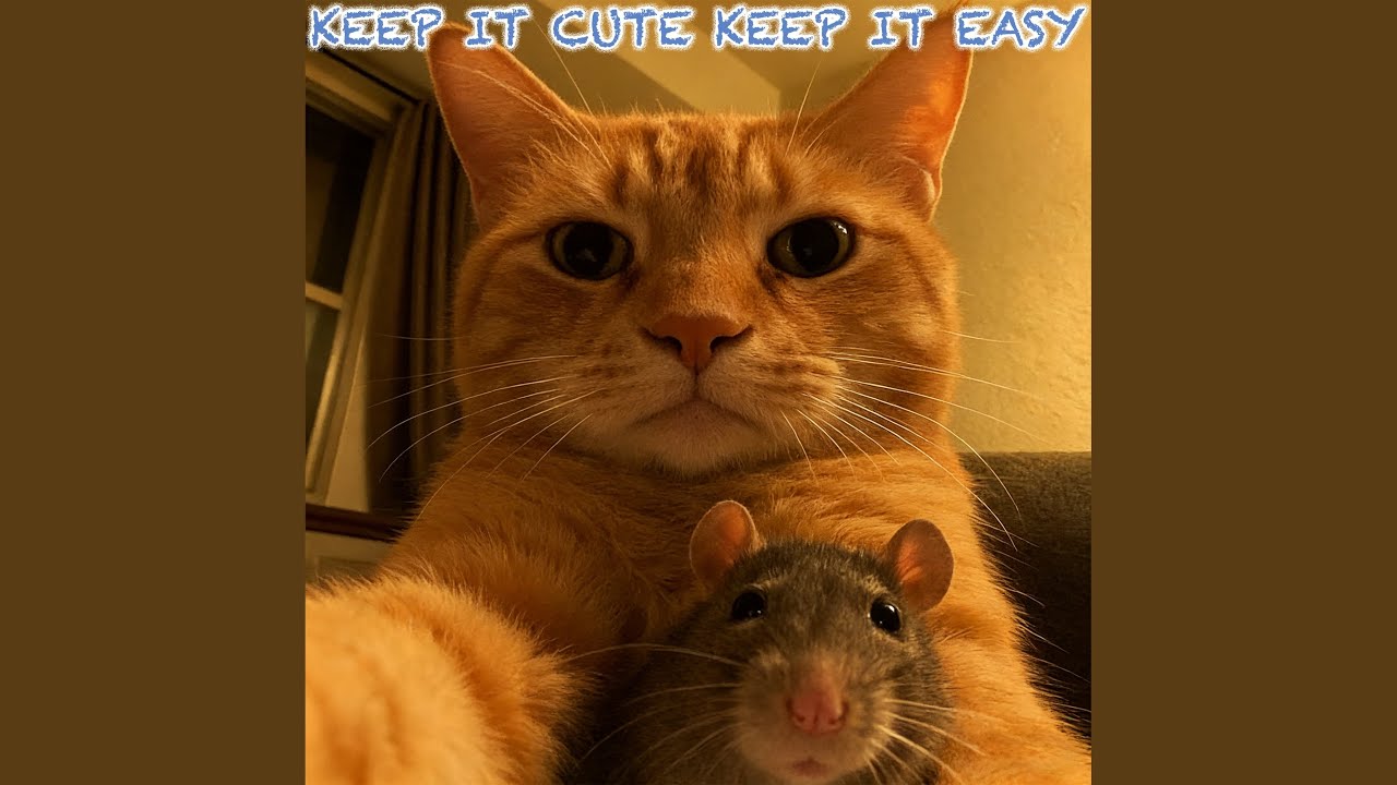 Let It Stay Simple Today