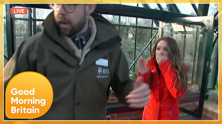 Guest Storms Off After Laura Tobin Accidentally Dr...