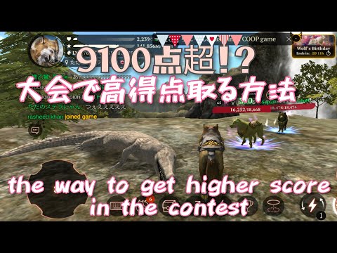 【ザ・ウルフ：動物ゲーム (The Wolf)】ザ・ウルフ：動物ゲーム大会で高得点を出す立ち回り攻略！スコア最大化の秘訣