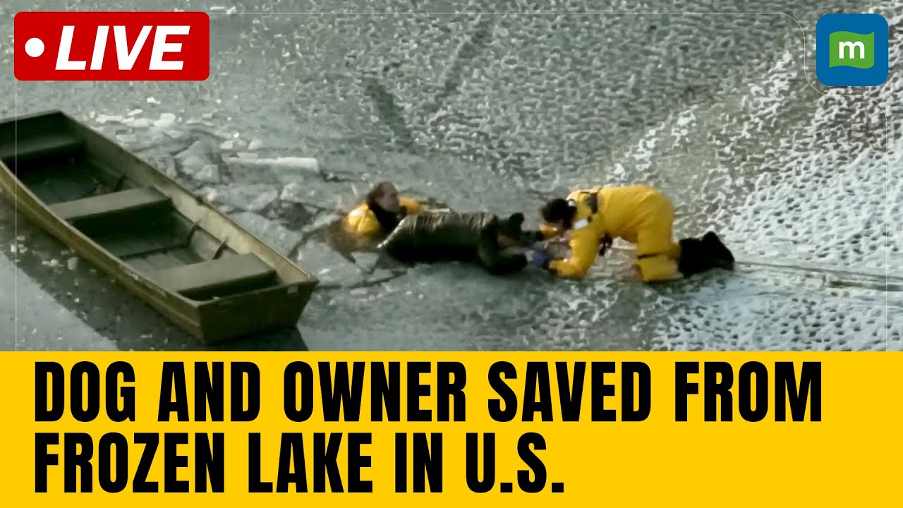 Live: Police Drone Footage Shows Dramatic Rescue Of Dog And Owner From ...