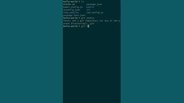 Git: Init - OKC WebDevs #Shorts