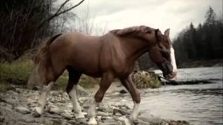 breyer horses realistic photo