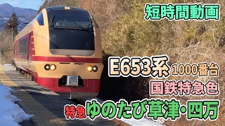 E653系1000番台 国鉄特急色 特急「ゆのたび草津・四万」 矢倉駅通過