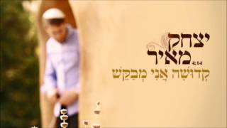 קדושה אני מבקש // יצחק מאיר chords