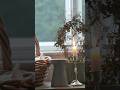 March Ritual 🌿 A Quiet Candle Moment #cozyhome