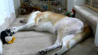 Test - P1020923.MOV