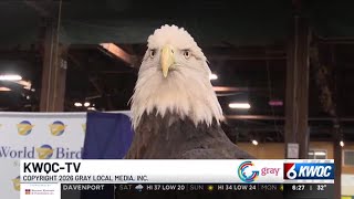 Hello, Quad Cities from Bald Eagle Days Bald Eagle Days Quad Cities