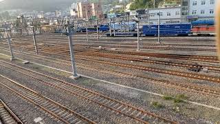 디젤기관차 7382호 견인(해랑 전용기)남도해양관광열차 S-Train #4874 열차