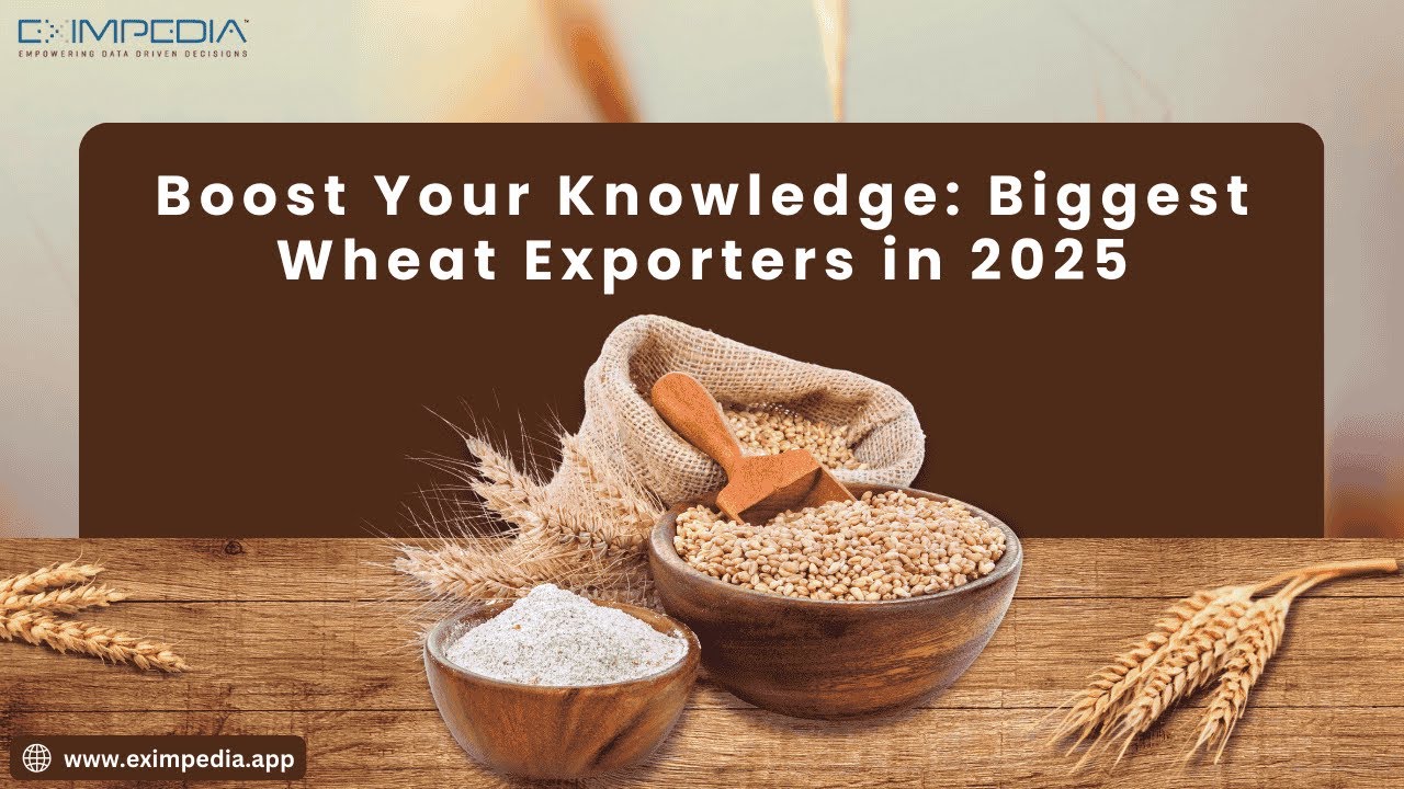 Boost Your Knowledge: Biggest Wheat Exporters in 2025
