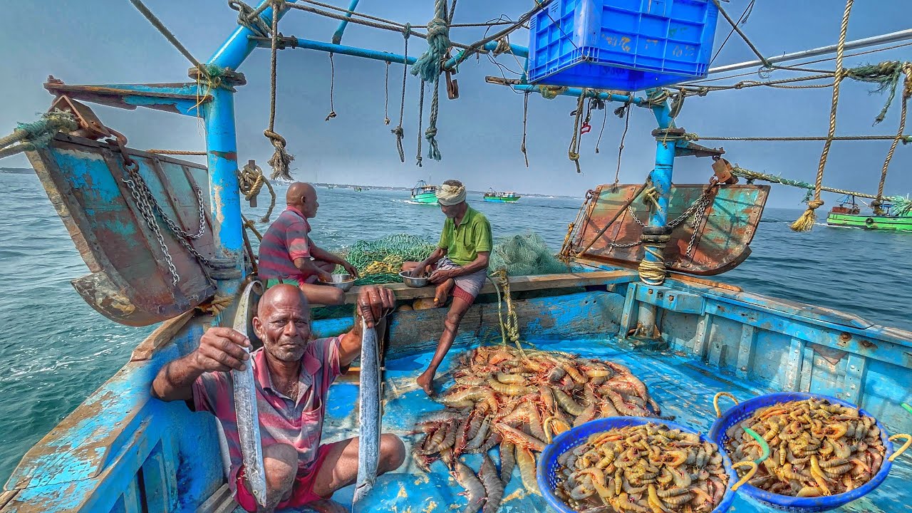 ‼️ONE DAY MASSIVE HAUL 😱🦐 | TRAWLER NET FISHING IN MANDAPAM ⚓ | GIANT SEAFOOD CATCH 🐟🦀