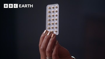 How Does The Contraceptive Pill Affect Your Body? | BBC Earth Science