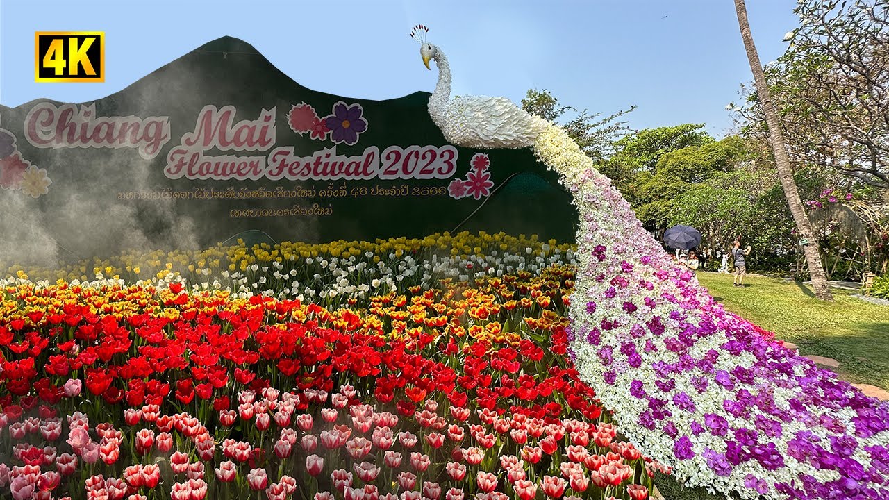 Chiang Mai Flower Festival 2023 (February 3, 2023)