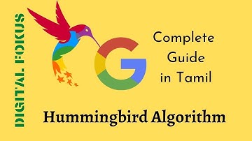 Google Hummingbird Algorithm | A Complete Guide Explained in Tamil