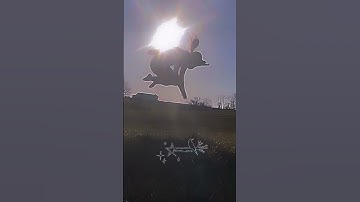 Drafts?! // scheduled post :)