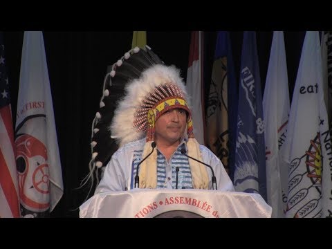 AFN national chief