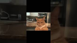 Cancion Para Hacer Mewing Video De Kaer The Knr