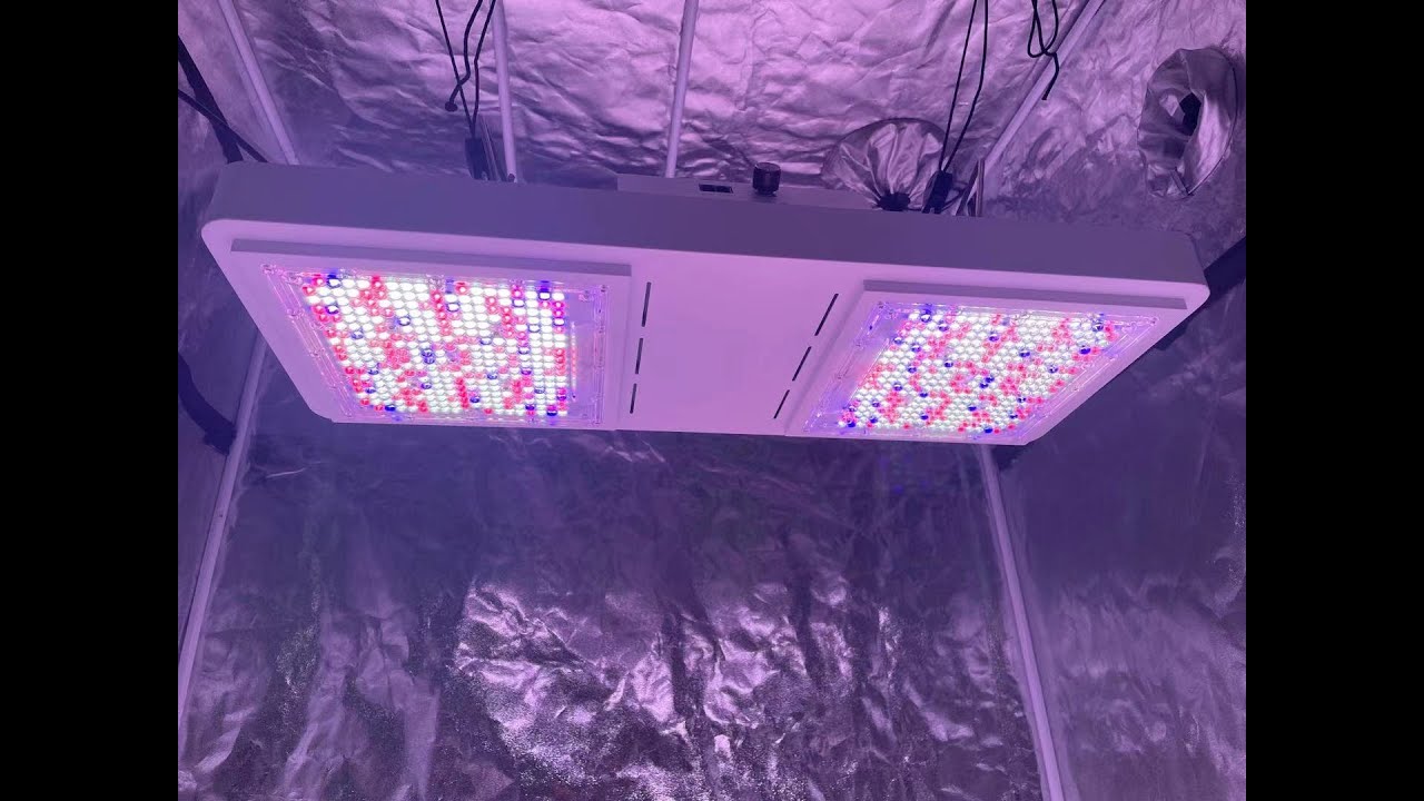 SpiderPro 8000 800W replace HPS1000W grow light