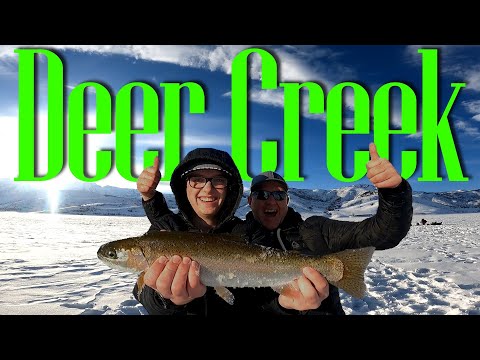 Video: Nyob hauv deer creek reservoir?