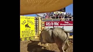 Cody Webster's view of JR Stratford’s ride on War Cry for  90POINTS to win the Red Bluff Round Up!