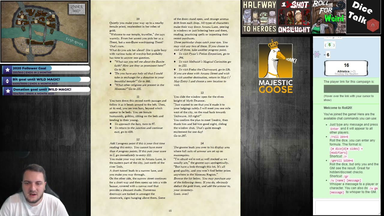 Solo Rolling - Tyrant of Zhentil Keep: A D&D 5e DMless solo one shot (part 2)