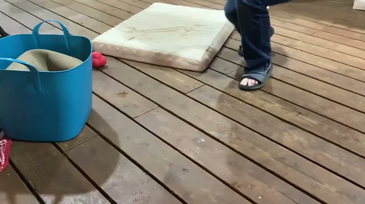 Meeting the puppy for the first time