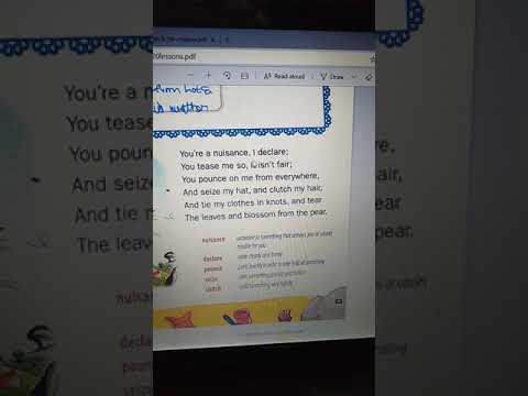 Grade-4 English   Poem 4 The Tease - Explaination
