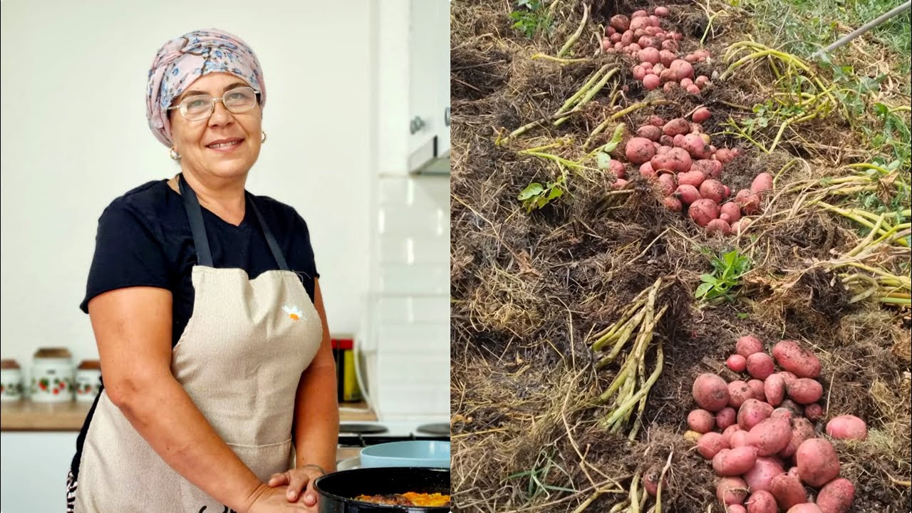 Rad u bašti i ukusni pirjan | završilo kafom s gostima🥔🍓☕️