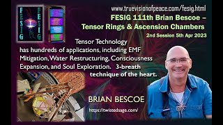 FESIG 111th Brian Bescoe – Tensor Rings & Ascension Chambers