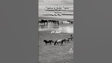 صلوا عليه وسلموا تسليما #اذكار_المساء #المصحف #cat #اكسبلور