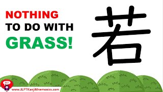 Full The unexpected origin of Young 若 (JLPT N2 Kanji) Guide