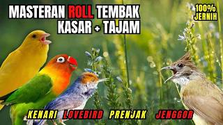 Masteran Murai Batu R0LL Tembak Kasar Isian Cucak Jenggot, Kenari, Prenjak, Lovebird