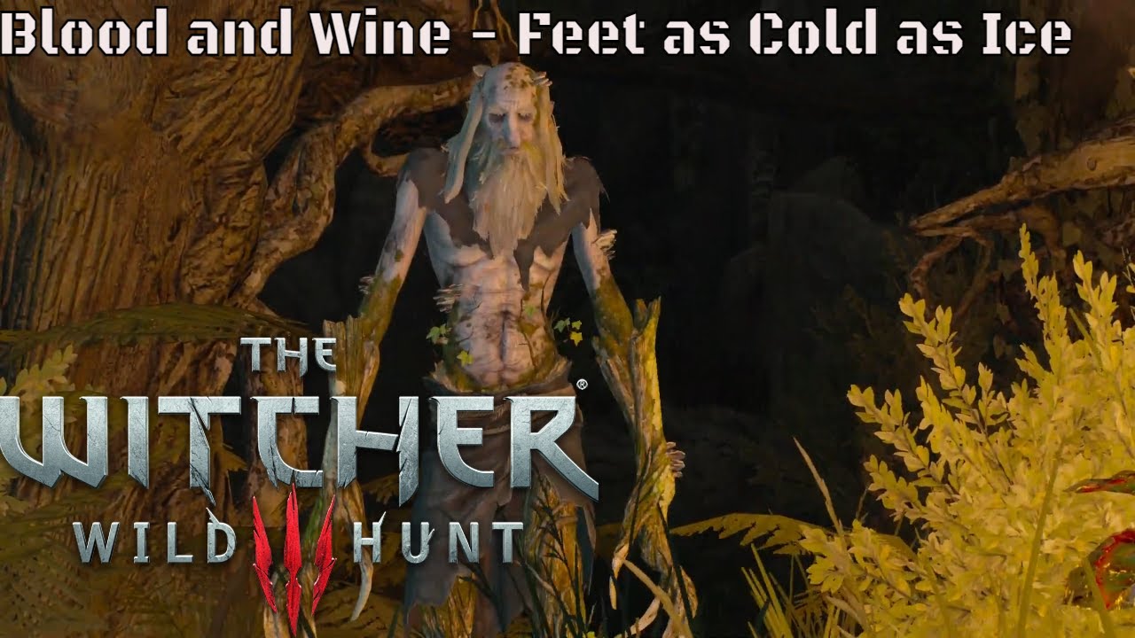 Witcher 3 Blood and Wine - Feet as Cold as Ice (PS4)