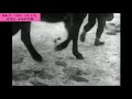 氷雪を蹴って山西討伐戦 北支【091-02】【昭和17(1942)/02/上旬 】【♪雪の進軍・♪レプレリュード】