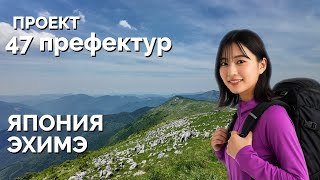 видео: ЭХИМЭ - край у края мира: ЯПОНСКАЯ деревня над облаками и самый древний онсен♨️Проект 47 префектур. картинка: ЭХИМЭ - край у края мира: ЯПОНСКАЯ деревня над облаками и самый древний онсен♨️Проект 47 префектур.