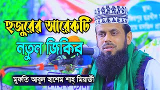 হুজুরের আরেকটি নতুন জিকির || মুফতি আবুল হাশেম শাহ্‌ মিয়াজী || Abul Hashem Miyazi নতুন জিকির