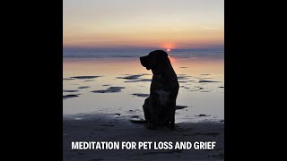 Meditation for Pet loss and Grief