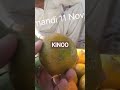 sukkur sabzi mandi 11 November 2025