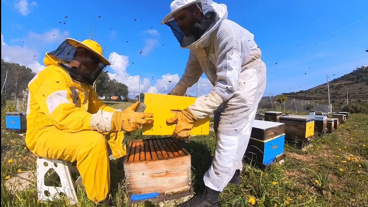 Ανέβασμα ορόφων στα μελίσσια . Ο πιο εύκολος τρόπος
