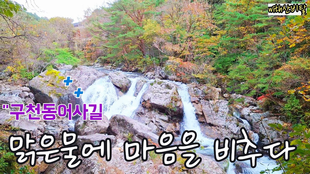 무주 구천동어사길 계곡트레킹 코스 (월하탄~인월담~비파담~구월담~안심대~백련사~구천폭포) / 덕유산 구천동계곡 / 맑은물에 마음을 비추다