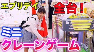 エブリデイ行田店でミニクレーンゲーム全台やってみた！過去最大の大量ゲット？！【クレーンゲーム】