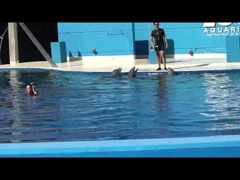 Zoo Aquarium Madrid
