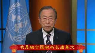Ban Ki-moon - Chinese New Year 2014