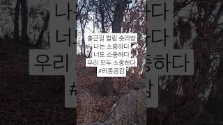 출근길 힐링 숏라방