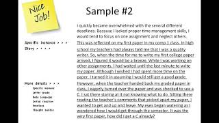 Reflection Paper  The Test  Tips and Examples
