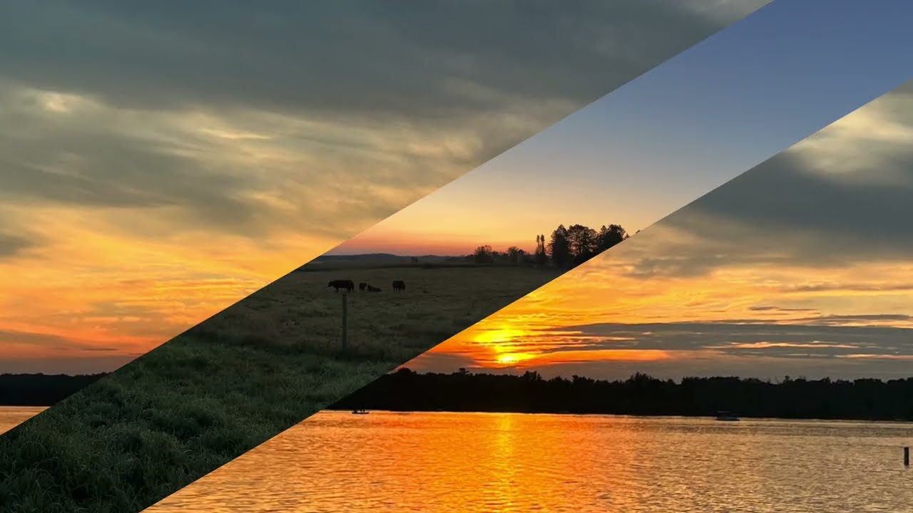 Jesus, Let your spirit reign.