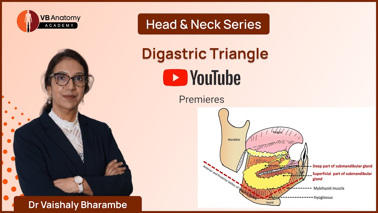 Unlocking the Secrets of the Digastric Triangle: An Anatomy Masterclass with Dr. Vaishaly Bharambe