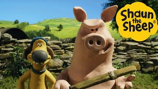Shaun the Sheep  Pig Chaos  Cartoons for Kids  Full Episodes Compilation [1 hour]