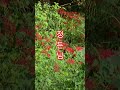 2025년 10월 27일